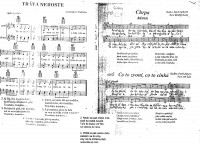 Tráva neroste, Chrpa